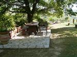 Shady eating area 150